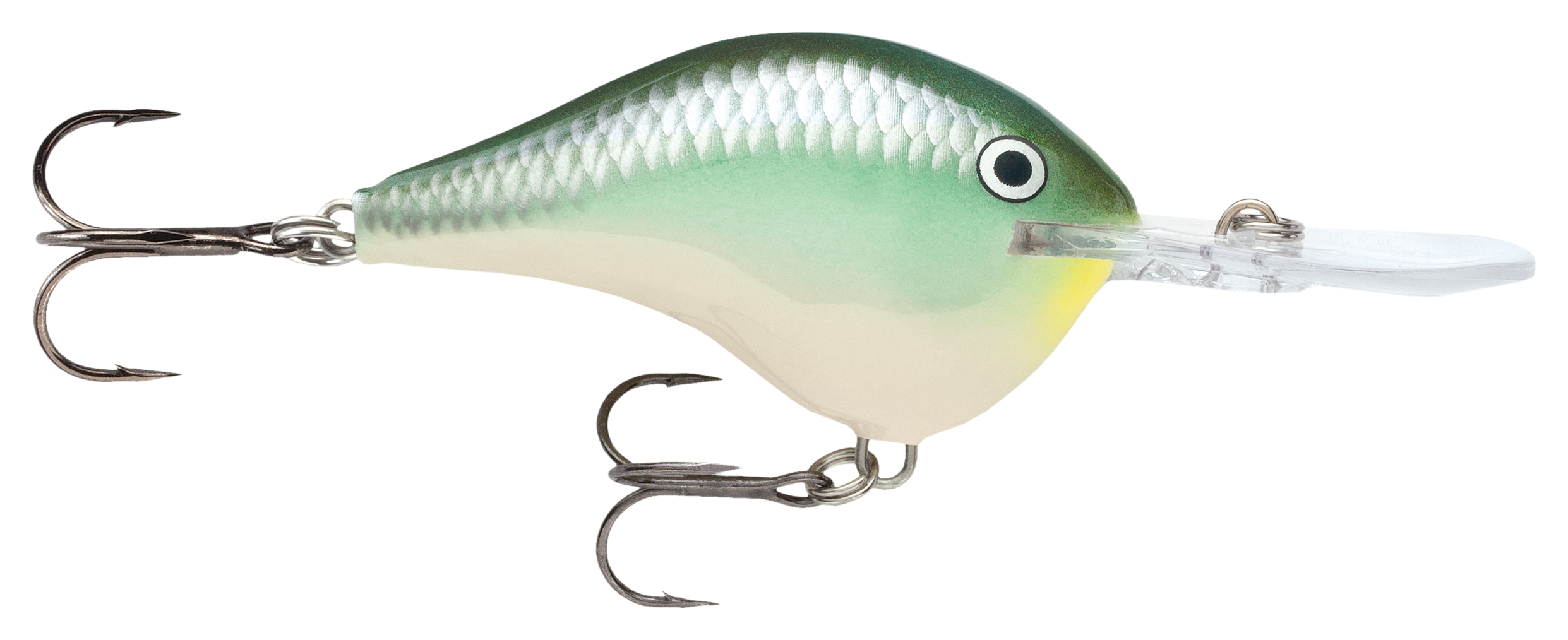 Rapala DT Dives-To Series Crankbait