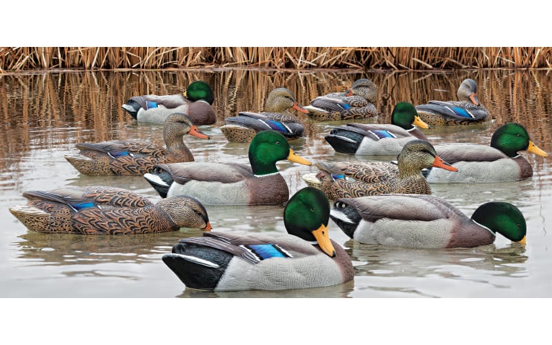 Avian-X TopFlight Mallard Duck Decoy Outfitter Pack