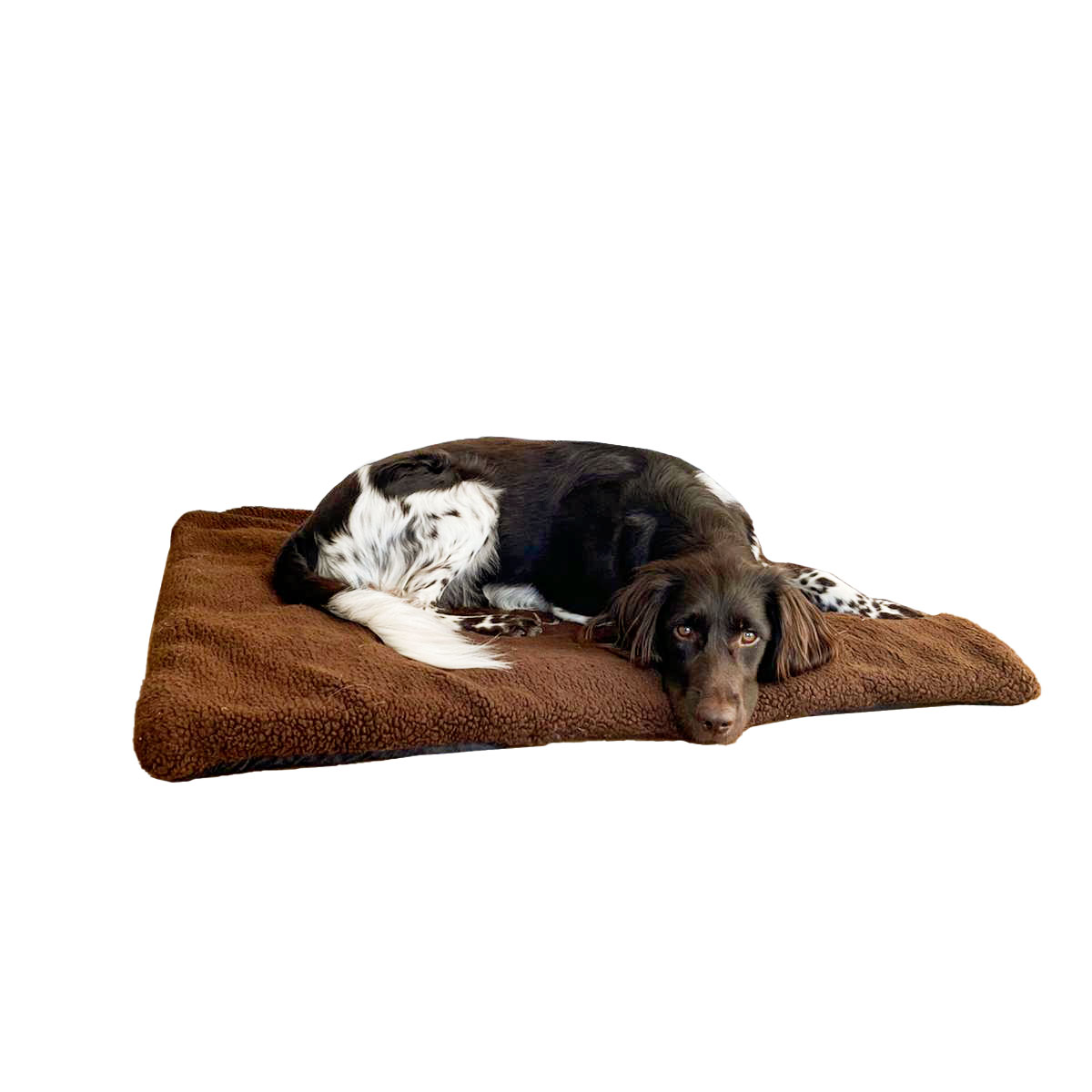 Blaser Dog Blanket with Fleece