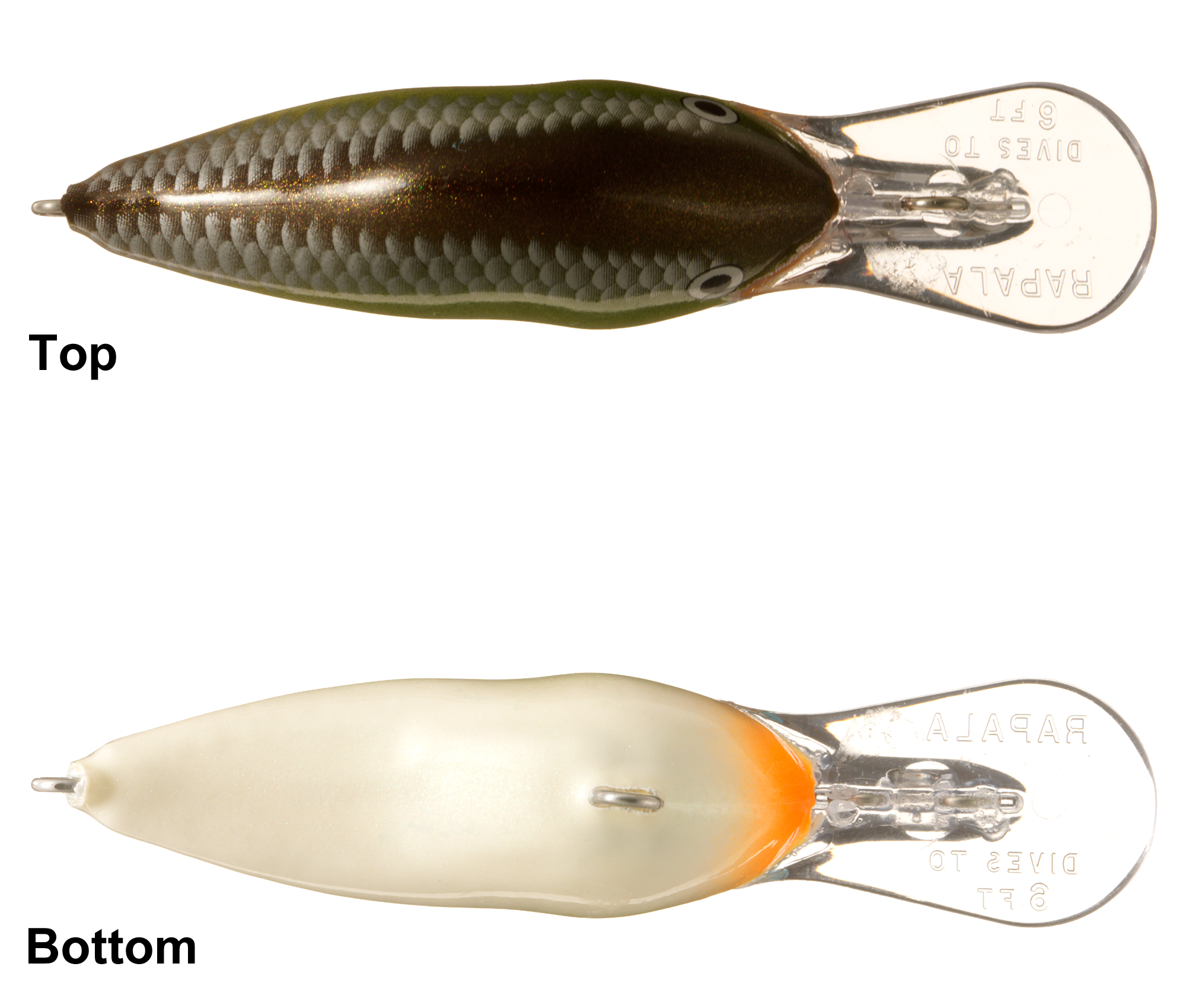 Rapala DT Dives-To Series Crankbait
