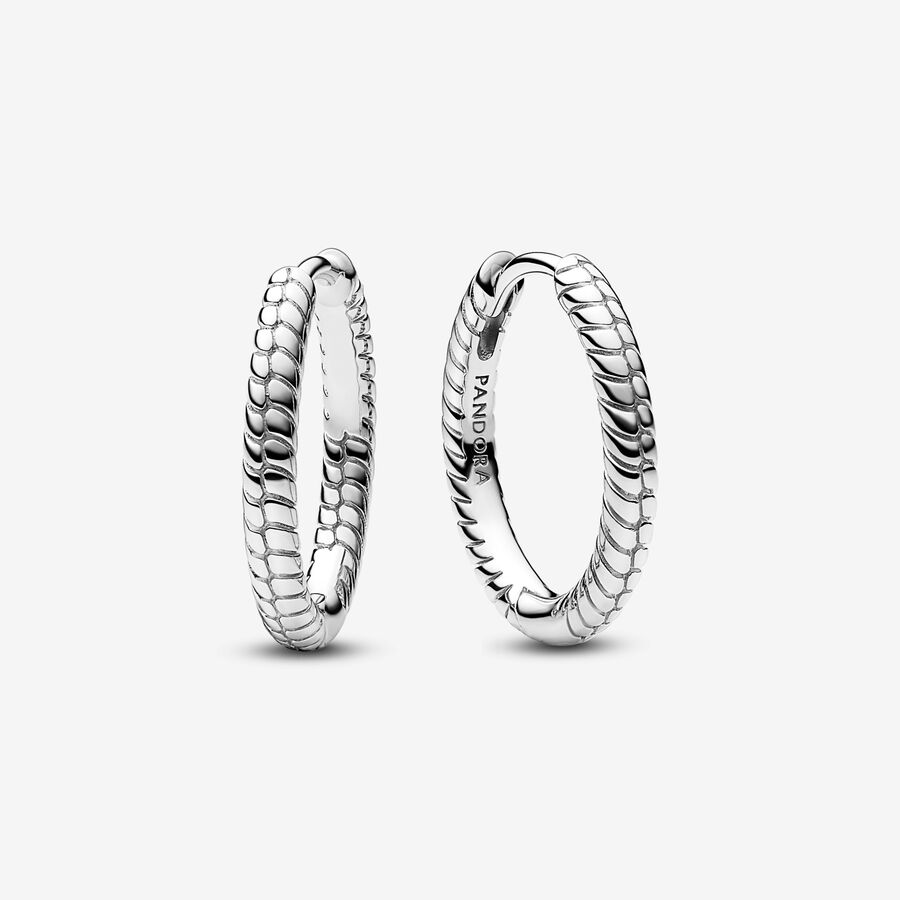 Moments Charm Hoop Earrings