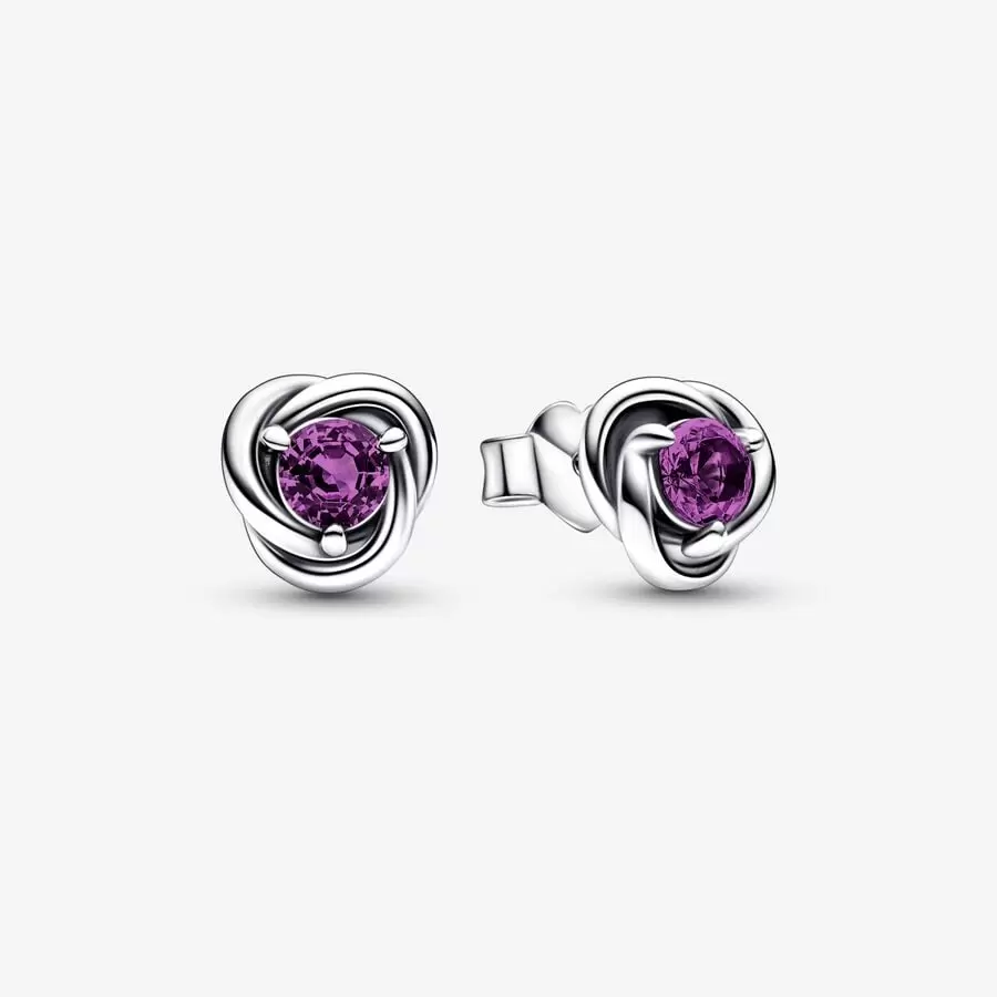 February Purple Eternity Circle Stud Earrings