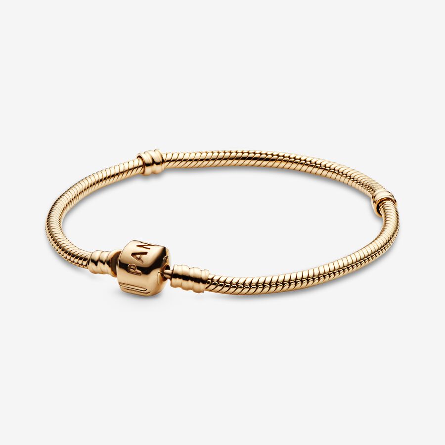 Moments Snake Chain Bracelet